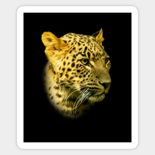 Leopard portrait Sticker